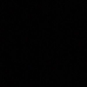 Meet your Posher, Harley